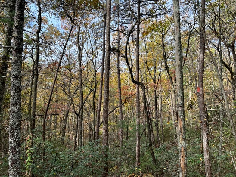 More Photos Of Whitecliff Drive, Ellijay Land For Sale