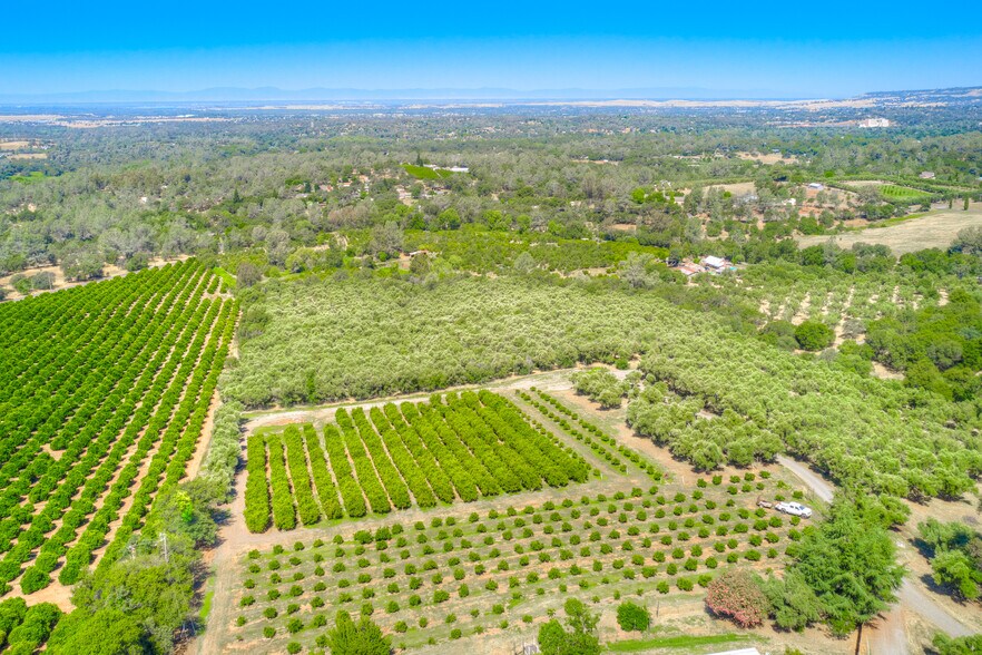 More Photos Of 78 Circle View Dr, Oroville Winery Vineyard For Sale
