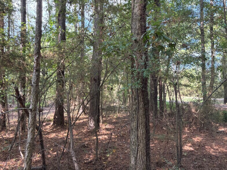 More Photos Of 107 Popham rd, Taylorsville Land For Sale
