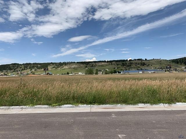 More Photos Of TBD Republic Rd, Summerset Land For Sale