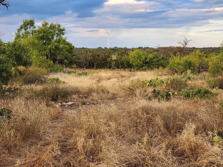 Primary Photo Of 6249 Ranch Road 2402, Eden Land For Sale