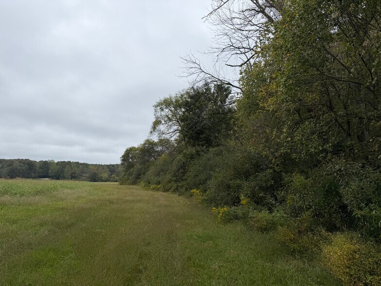 More Photos Of 0 County Road 60, Heflin Land For Sale