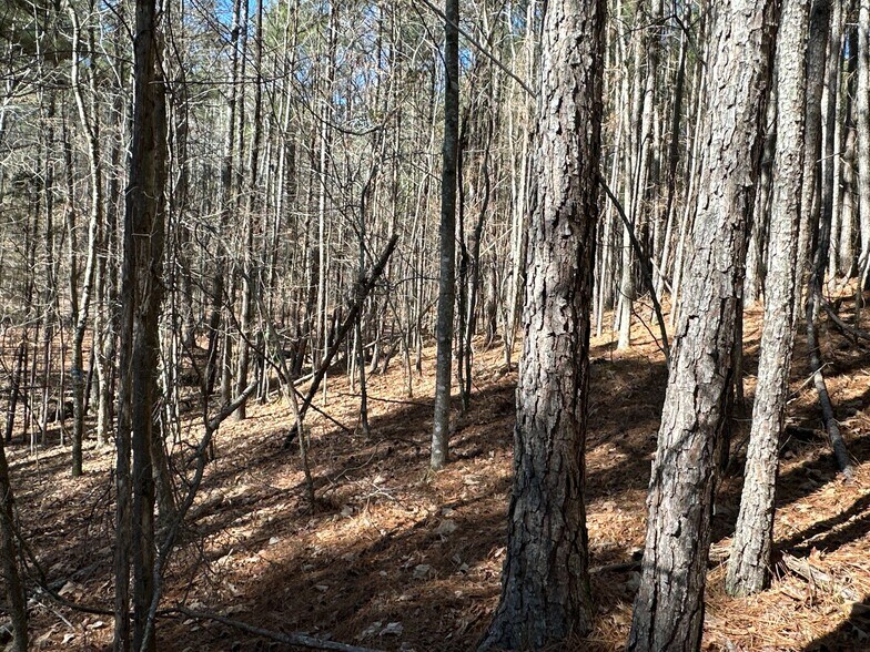 More Photos Of 3472 Prior Station Rd, Cedartown Land For Sale