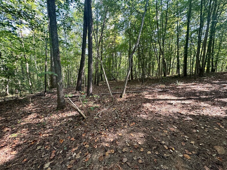 More Photos Of 7330 Frix Rd, Cumming Land For Sale