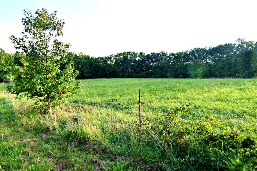 More Photos Of Cues Favorite @ La Plata Rd Route 488, Waldorf Land For Sale