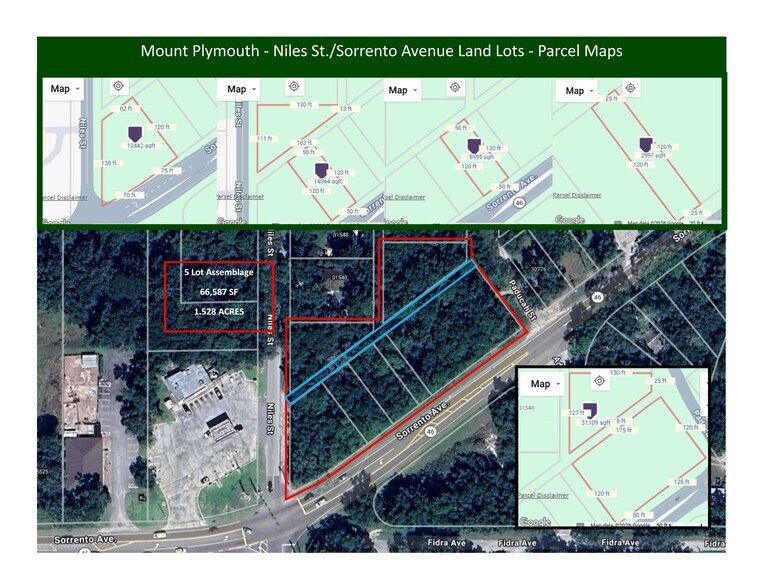 More Photos Of SR46-CR435 (Sorrento Ave & Niles St), Mount Plymouth Land For Sale