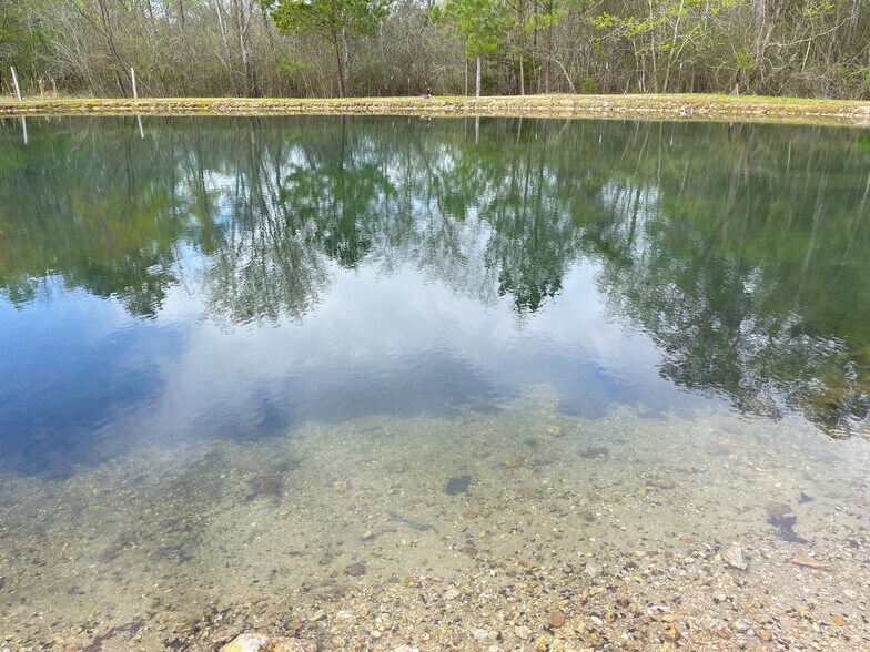 More Photos Of 1516 Fish Hatchery Rd, Summerville Land For Sale