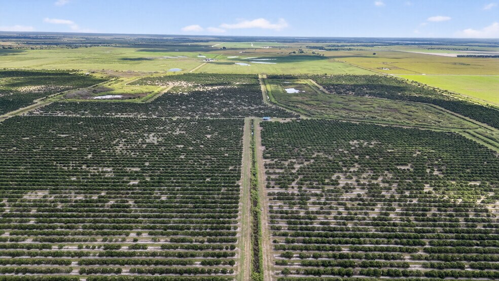 More Photos Of 8476 Ten Mile Grade, Zolfo Springs Land For Sale