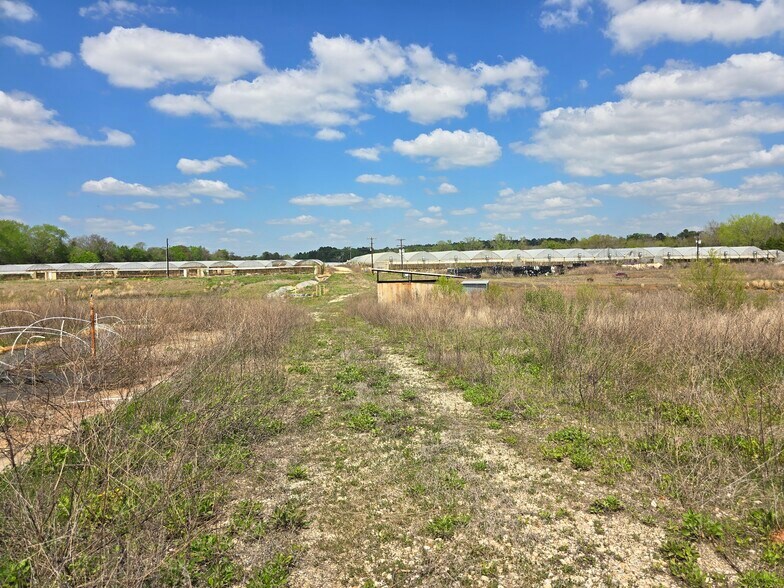 More Photos Of 11888 County Road 345, Winona Land For Sale