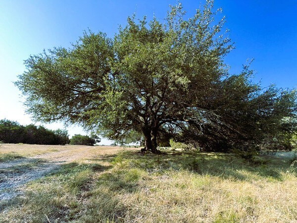 More Photos Of 4547 County Road 108, Burnet Land For Sale