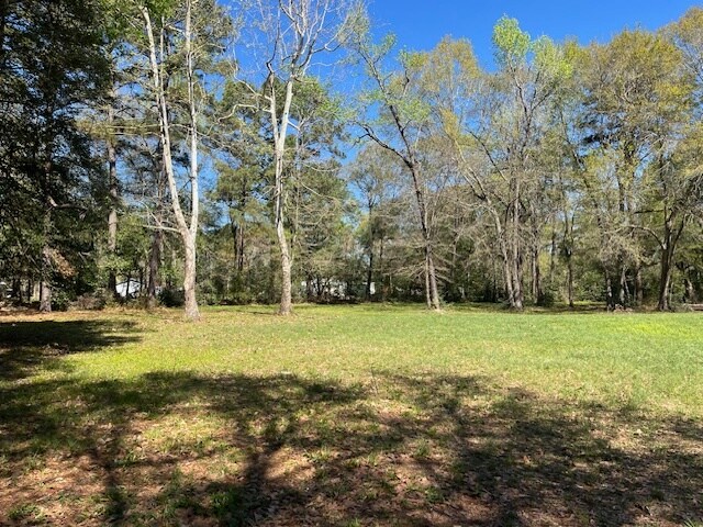 More Photos Of 13527 McComb Rd, Conroe Land For Sale