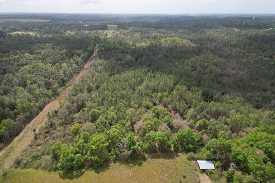 More Photos Of 12960 County Road 48, Silverhill Land For Sale
