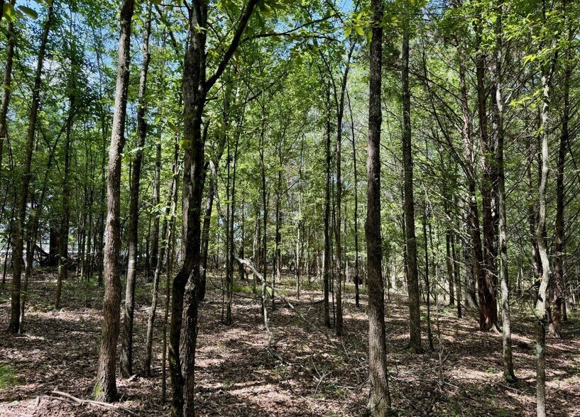 More Photos Of First St, Flora Land For Sale