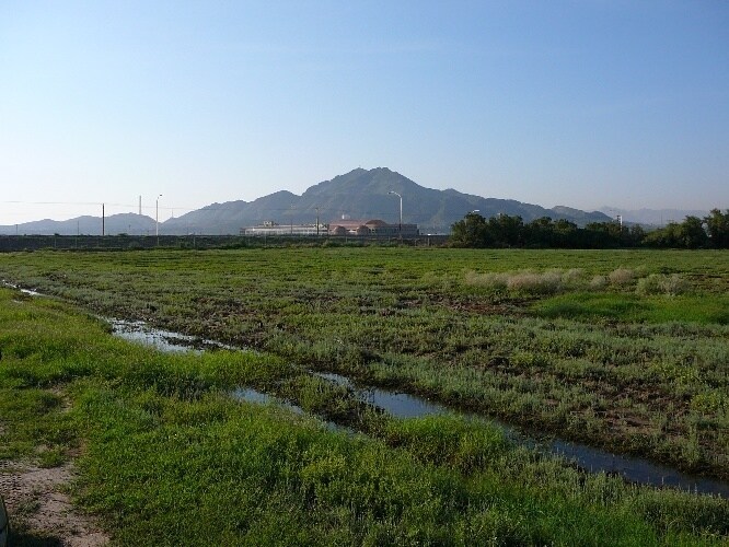 More Photos Of 1705 Appaloosa Dr, Sunland Park Service For Sale