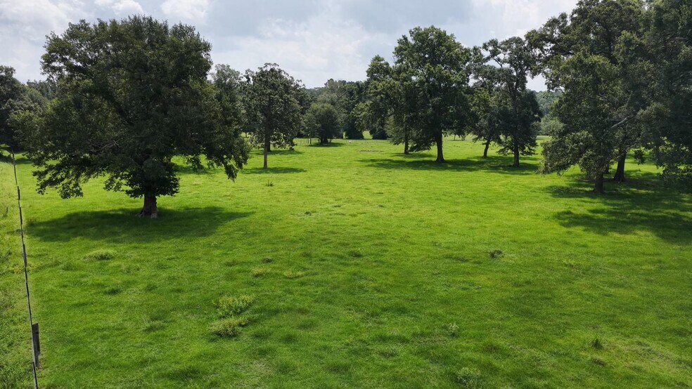 More Photos Of 100 Hill Ranch Ln, New Waverly Land For Sale