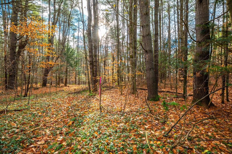 More Photos Of 40 E Putney Brook Rd, Putney Land For Sale