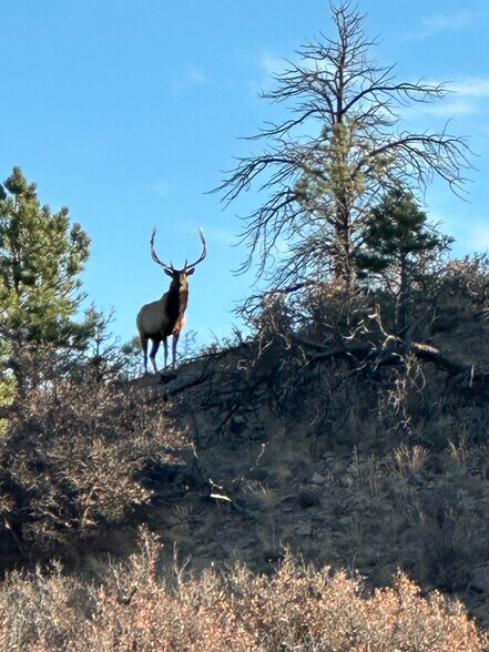 More Photos Of 4040 Bell Mountain Dr, Castle Rock Land For Sale