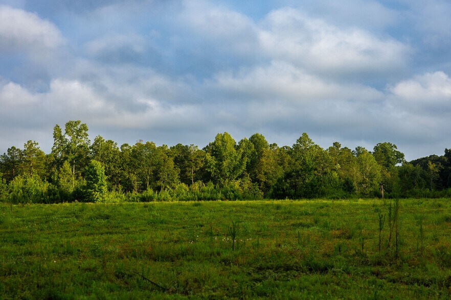 More Photos Of 2199 Roosterville Rd, Roopville Horse Stables For Sale