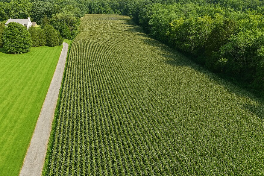 More Photos Of LOT 6 Markoe Road, Monkton Land For Sale