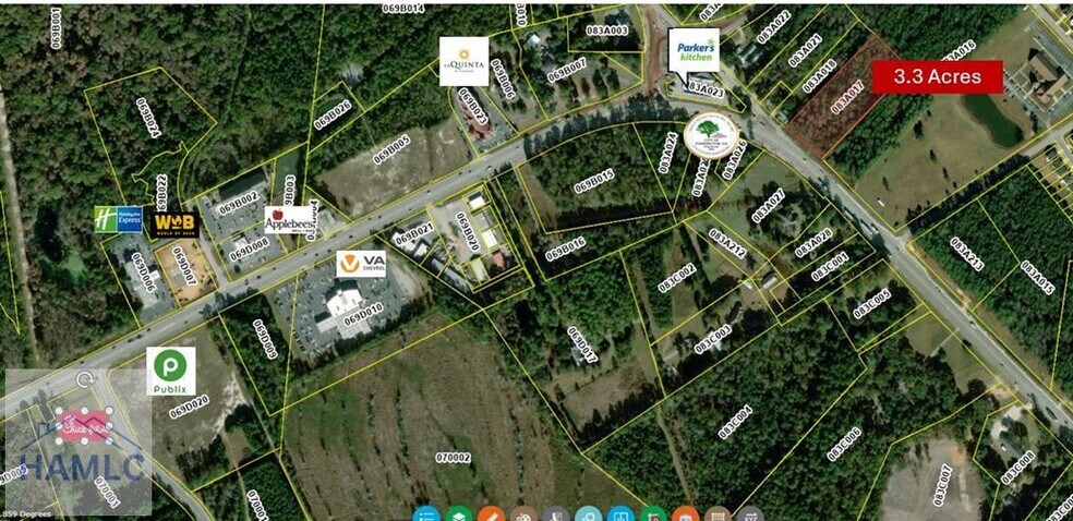 Primary Photo Of East Oglethorpe Highway, Flemington Land For Sale