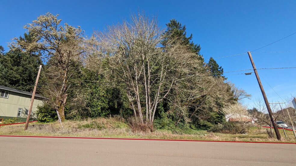 More Photos Of 517 First St, Drain Land For Sale
