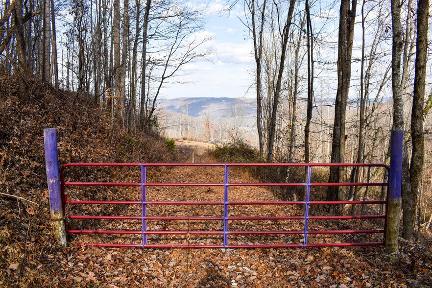 More Photos Of 126 Bolton Point Rd, South Pittsburg Land For Sale