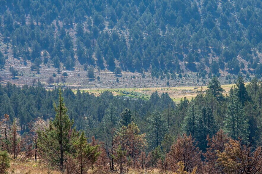 More Photos Of 32611 Tackman Rd, Prineville Land For Sale