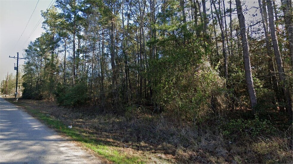More Photos Of Coon Hollow Road Rd, Conroe Land For Sale