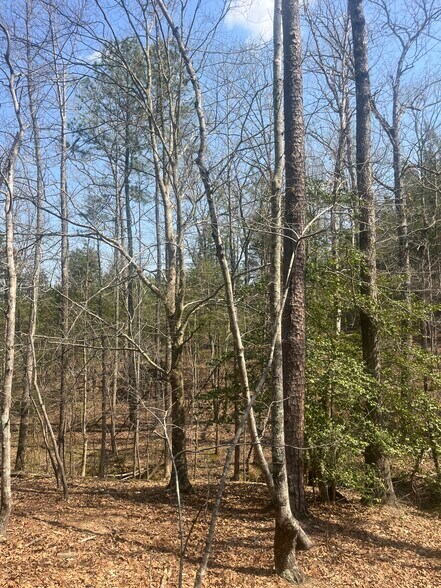 More Photos Of Healing Acres Ln, Carthage Land For Sale