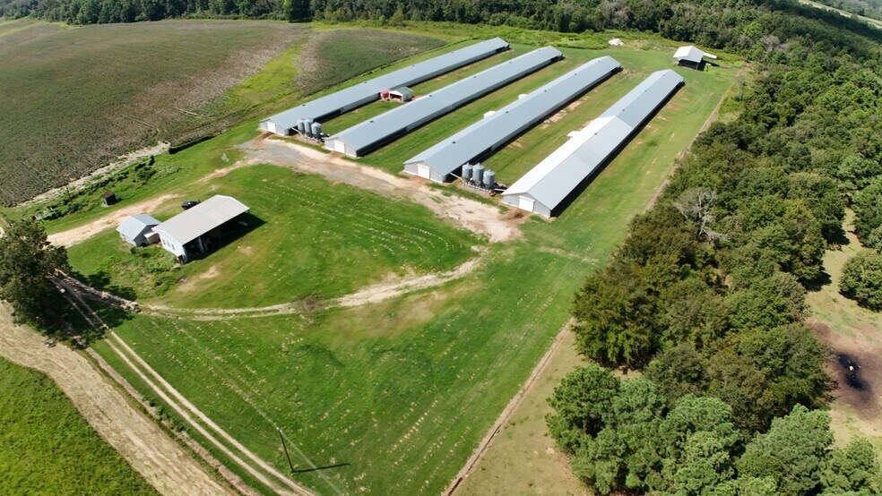 More Photos Of 594 Daffodil Ln, Pitts Land For Sale