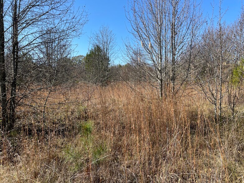 More Photos Of 2501 Auburn SW, Decatur Land For Sale