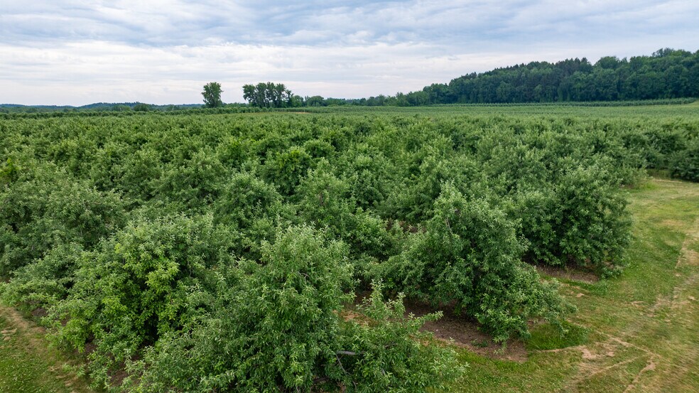 More Photos Of 6258 Hill rd, Sodus Land For Sale