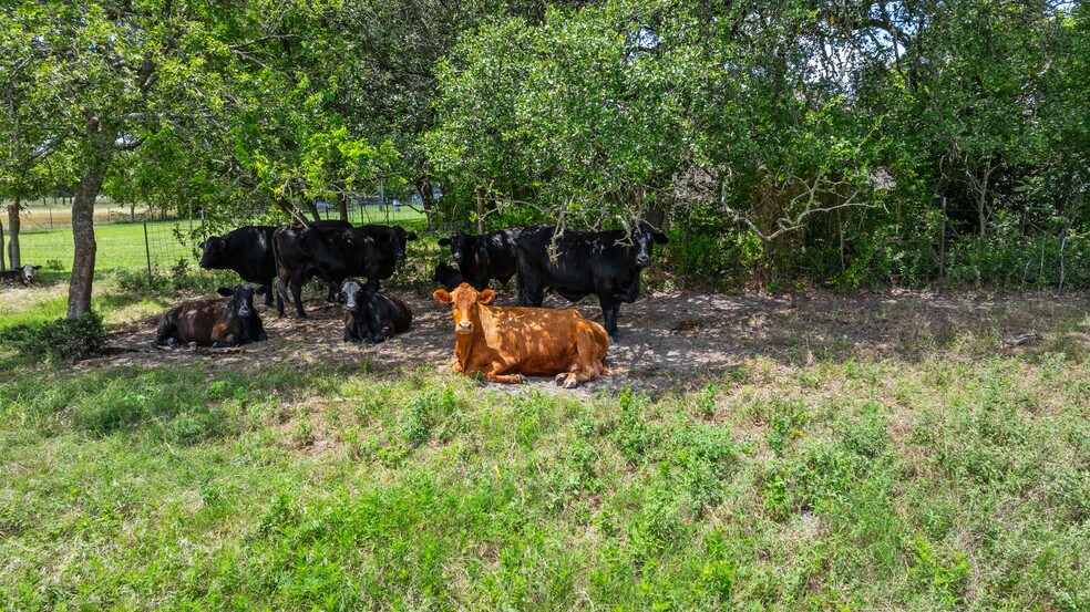 More Photos Of 100 Rundberg Dr, Jarrell Land For Sale