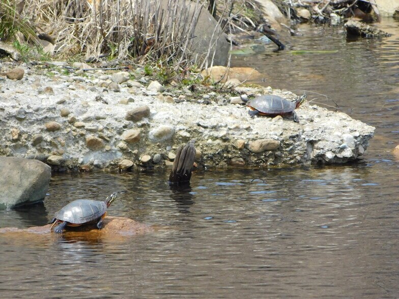 More Photos Of 61 Endicott St, Norwood Unknown For Lease