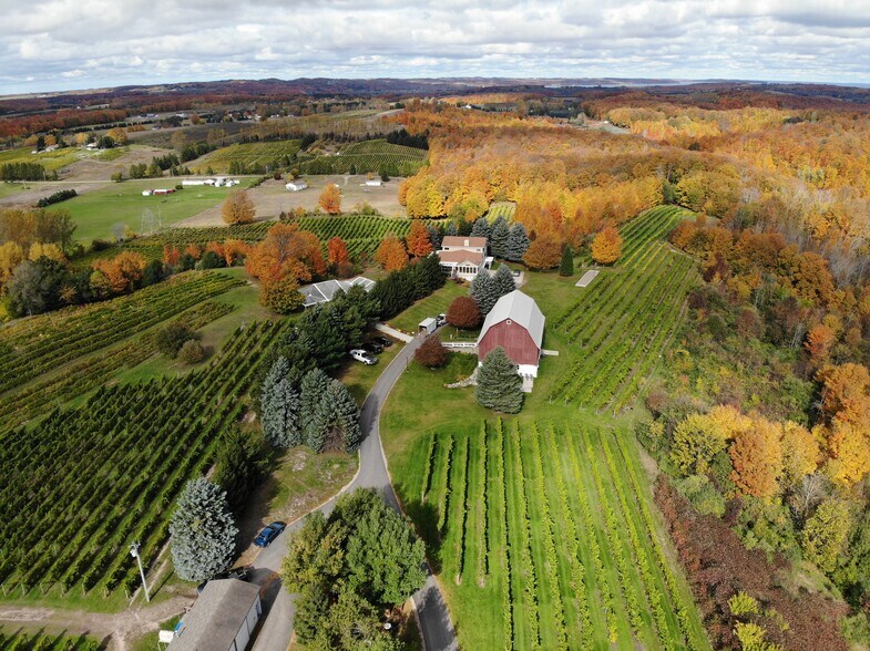 More Photos Of 10343 E Hilltop Rd, Suttons Bay Winery Vineyard For Sale