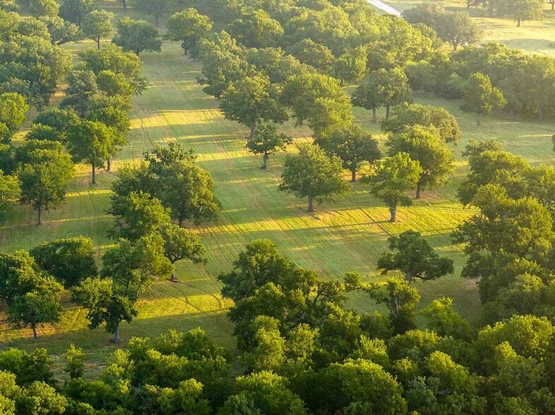 More Photos Of 0 County Road 328, Era Land For Sale