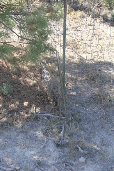 More Photos Of 20.22 acres, Alton Land For Sale