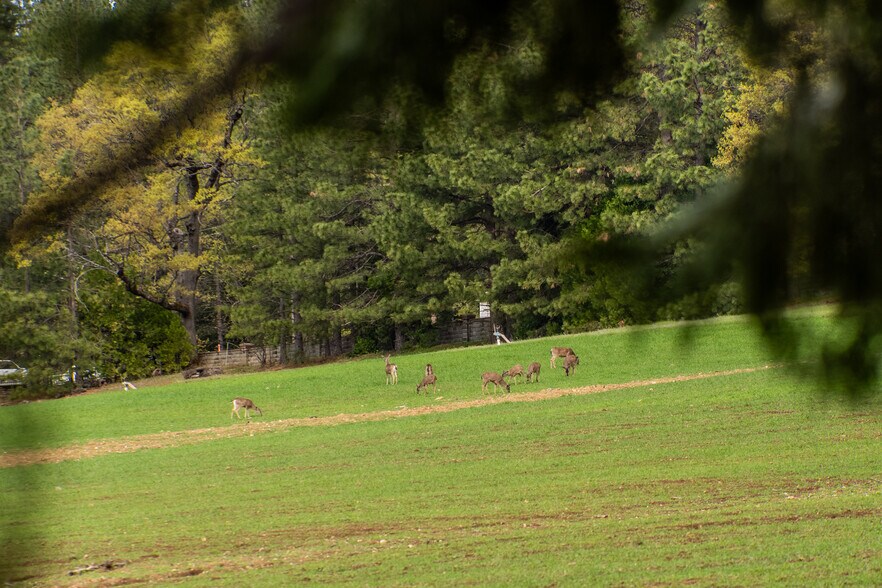 More Photos Of 14388 Fern Rd, Whitmore Land For Sale