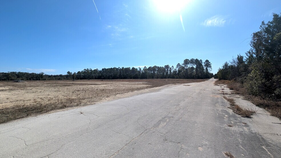 More Photos Of 13550 NW Old Fannin Rd, Chiefland Land For Sale