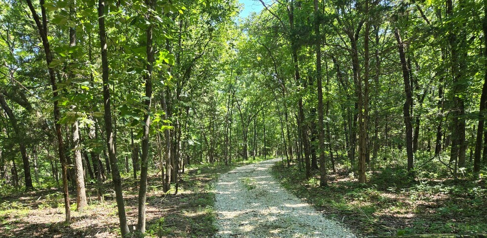 More Photos Of 20765 State Highway 42, Belle Land For Sale