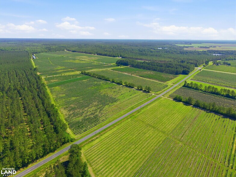 More Photos Of 5478 Halfway Branch School rd, Ivanhoe Land For Sale
