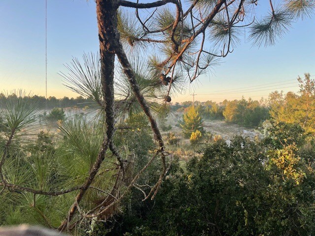 More Photos Of Redlands Dr, Deland Land For Sale