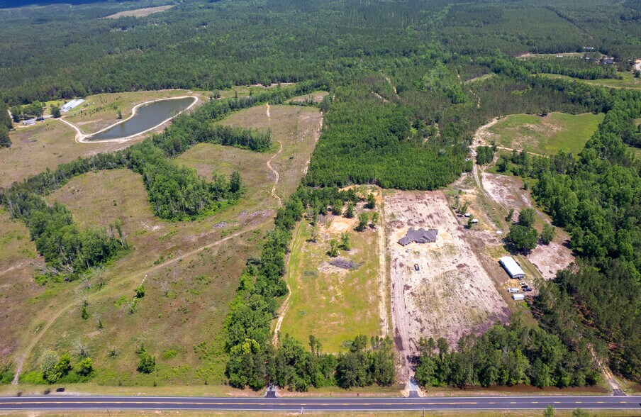 More Photos Of 17614 Lanes Bridge Rd, Odum Land For Sale