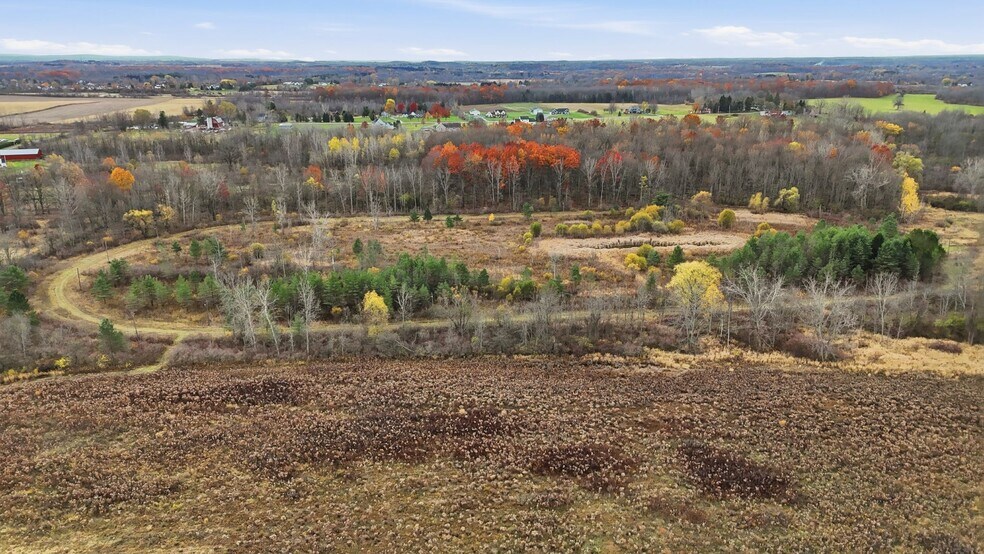 More Photos Of 490 Attridge Rd, Churchville Land For Sale