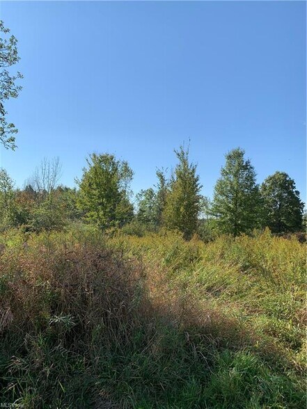 More Photos Of Bryant & SR 82 rd, Garrettsville Land For Sale