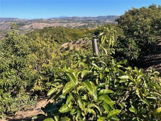 More Photos Of 45811 Camaron Rd, Temecula Land For Sale