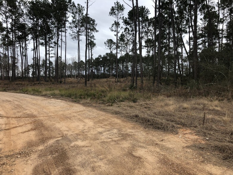 Primary Photo Of 11900 Seven Coves Rd, Willis Land For Sale