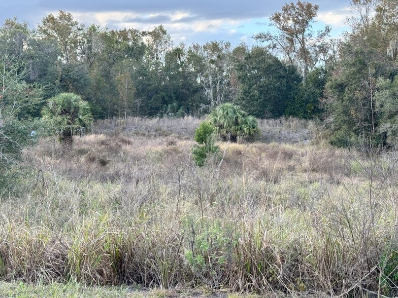 More Photos Of 2501 Oveido Marketplace Blvd, Oviedo Land For Sale