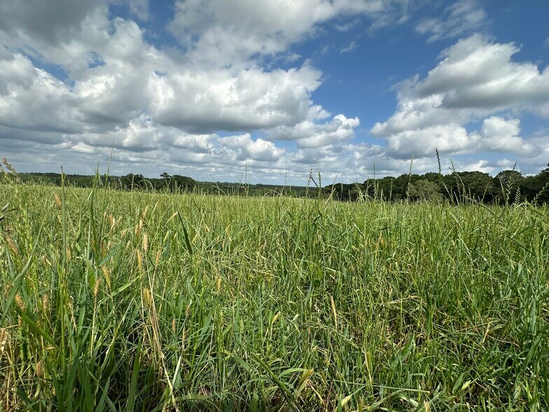 More Photos Of Millside Road, Laurel Hill Land For Sale