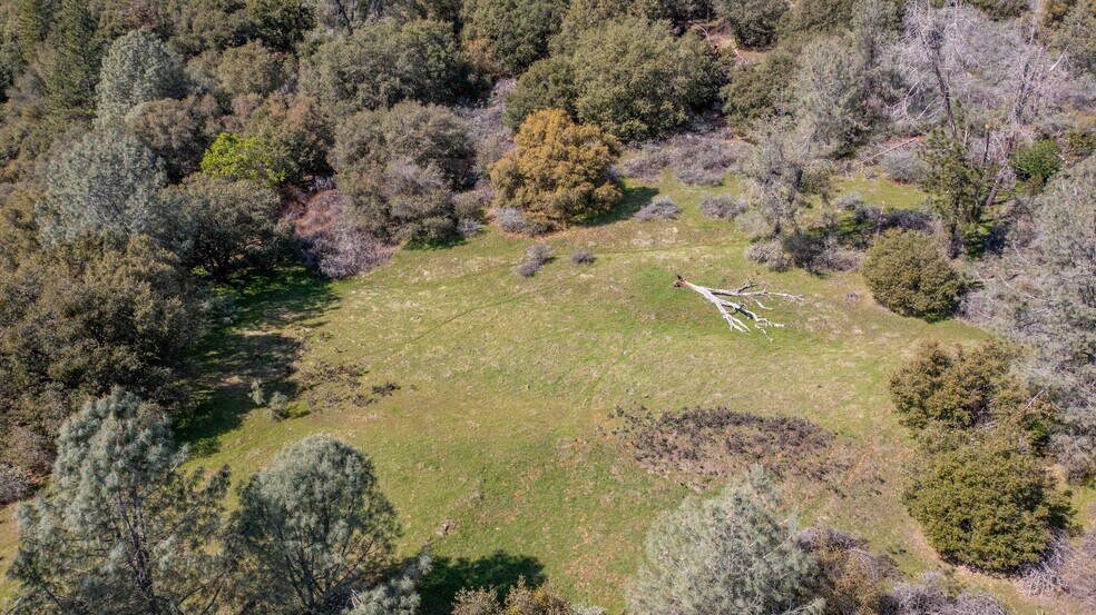 More Photos Of 18800 Charleston Rd, Volcano Land For Sale